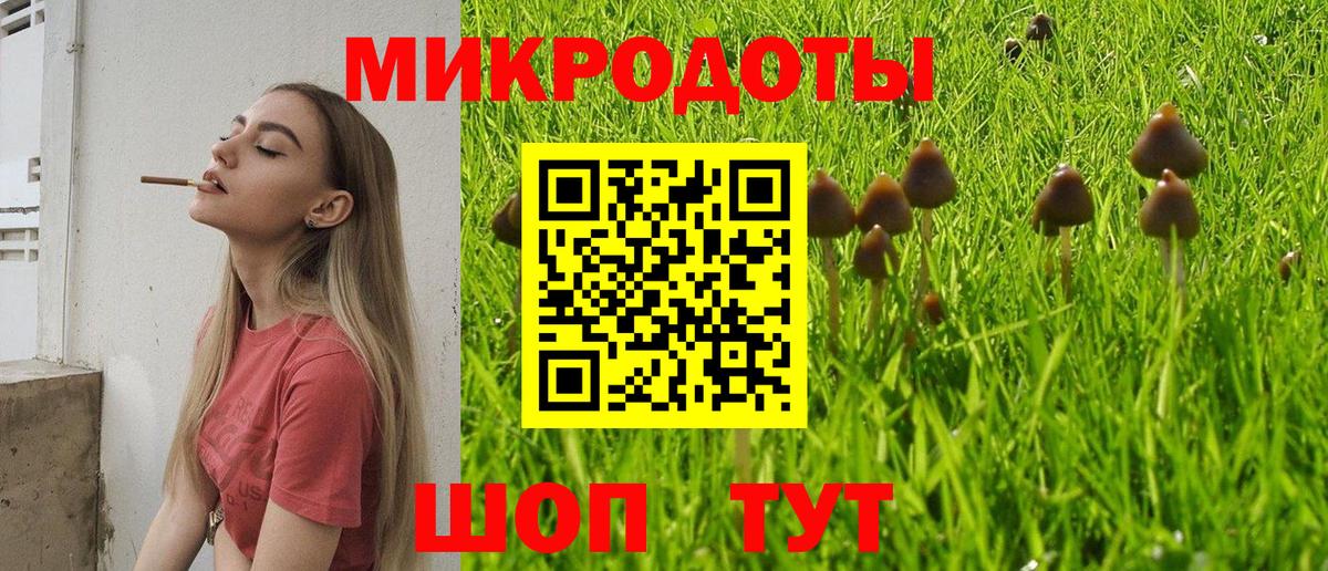 Галлюциногенные грибы Cubensis Егорьевск